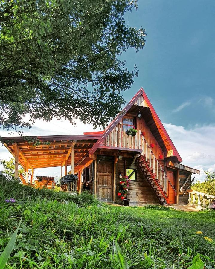 Log Cabin Uvac Nova Varoš Exteriör bild