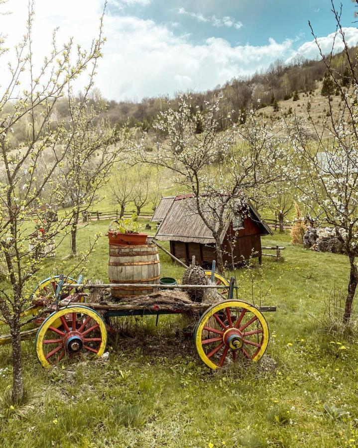 Log Cabin Uvac Nova Varoš Rum bild