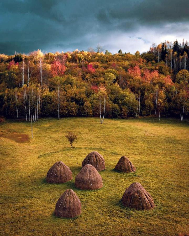Log Cabin Uvac Nova Varoš Exteriör bild