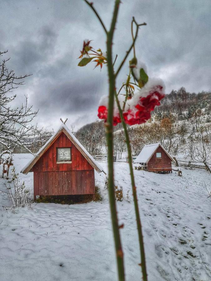 Log Cabin Uvac Nova Varoš Exteriör bild
