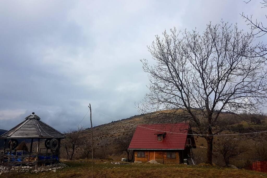 Log Cabin Uvac Nova Varoš Exteriör bild