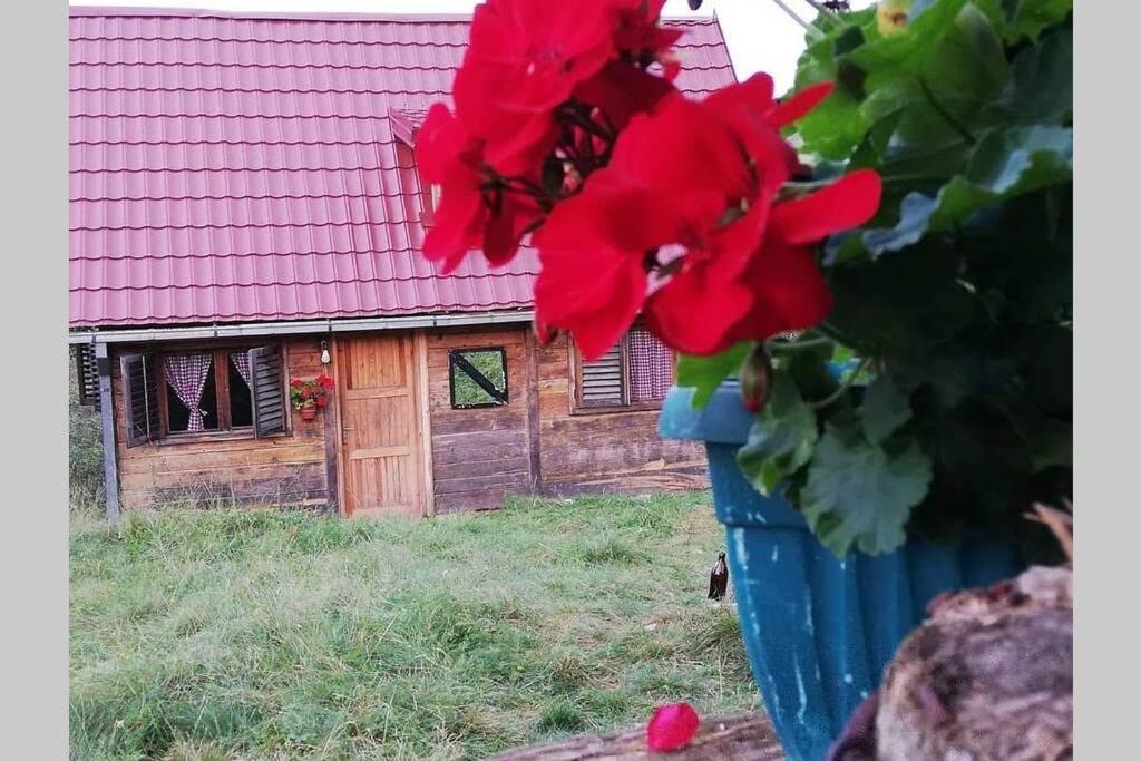 Log Cabin Uvac Nova Varoš Exteriör bild